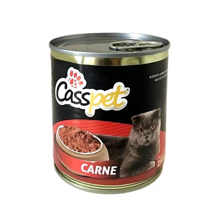 CASSPET 290G CASSPET 290G